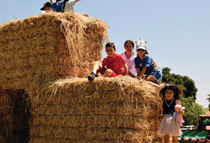 שבועות בסוד הפלא הקיבוצי (צילום:  בני ברק)