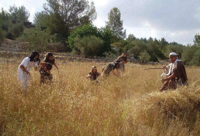 פסטיבל חגיגה בלבן צילום  (צילום:  פארק נאות קדומים)