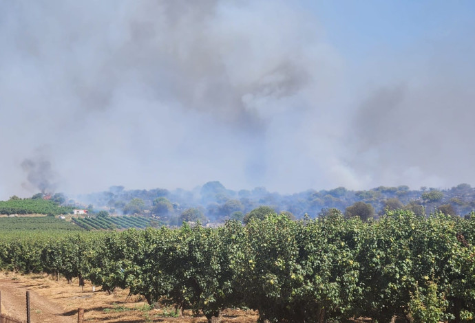 יקב רמות נפתלי (צילום:  איציק כהן)