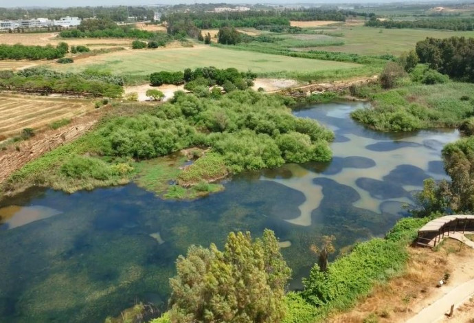 אגמון פולג  (צילום:  רשות מקרקעי ישראל)