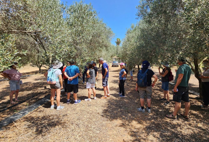 סיור מורי דרך (צילום:  מועצת לב השרון)