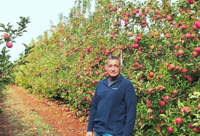 ירון בלחסן (צילום:  ארגון מגדלי הפירות בישראל)