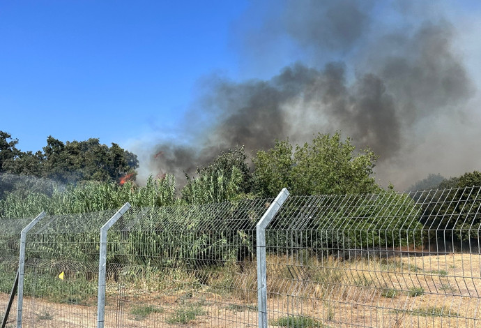 השריפות בגליל העליון בעקבות המטח מלבנון (צילום:  שימוש לפי סעיף 27א')