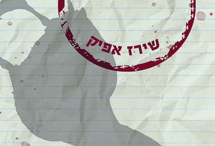 ליל הברווזים (צילום:  תומר אפלבאום)