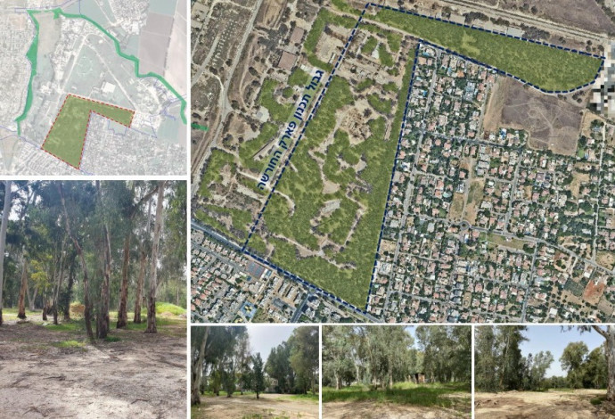 פארק נוף ירקון (צילום:  דוברות עיריית פתח תקווה)