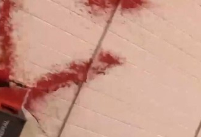 פעילים פרו פלסטינים מרססים את משרדי "אלביט מערכות" בבריסול באנגליה (צילום:  צילום מסך)