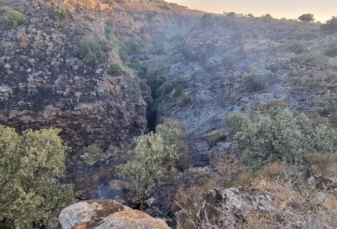 נחל זוויתן עליון, שמורת טבע יהודה בלהבות (צילום:  נאאל דעבוס, רשות הטבע והגנים)
