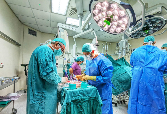 השתלת כליה מן החי. בטיחות מקסימלית (צילום: בי"ח סורוקה)