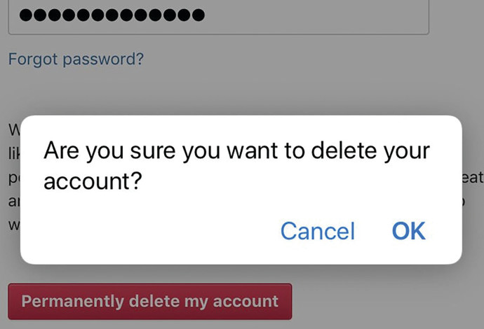 מחיקת חשבון אינסטגרם (צילום:  צילום מסך)