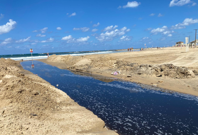 זיהום בחוף הים בתל אביב (צילום:  אבשלום ששוני)