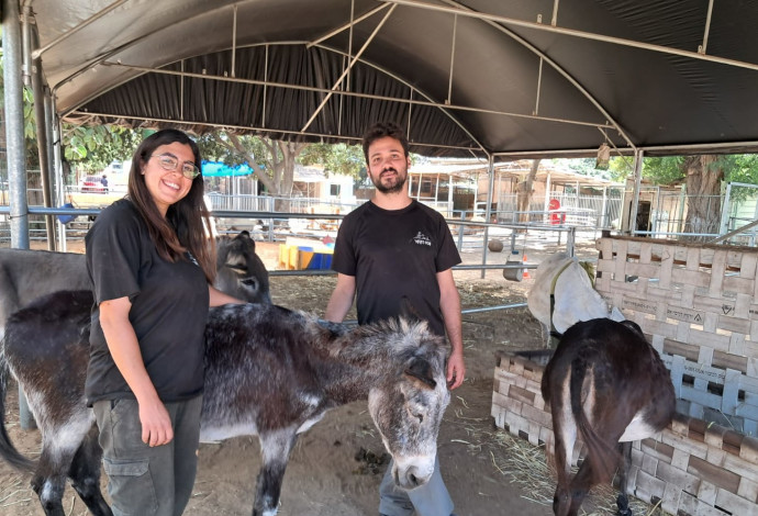 אור חזקיהו ותום קורדובה בחוות טבע קשר שקלטה חיות משק רבות מעוטף עזה והצפון (צילום:  משה כהן)