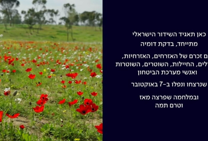 שקופית הזיכרון של התאגיד (צילום:  כאן תאגיד השידור הישראלי)