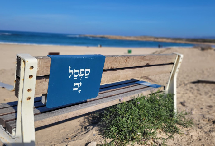 ספסל ים, תל דור  (צילום:  שרית פלצי מיארה רשות הטבע והגנים)