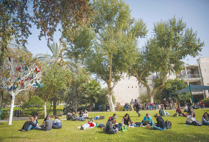 סטודנטים בקמפוס (צילום:  מרים אלסטר, פלאש 90)