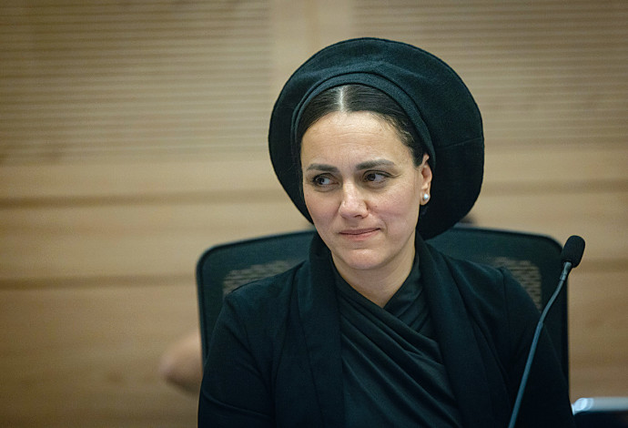 לימור סון הר מלך. יוזמת החוק (צילום:  חיים גולדברג, פלאש 90)