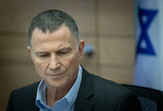 יולי אדלשטיין (צילום:  חיים גולדברג, פלאש 90)