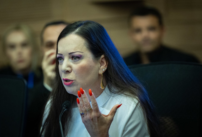 טלי גוטליב (צילום:  יונתן זינדל, פלאש 90)