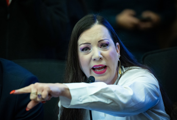 טלי גוטליב (צילום:  יונתן זינדל, פלאש 90)