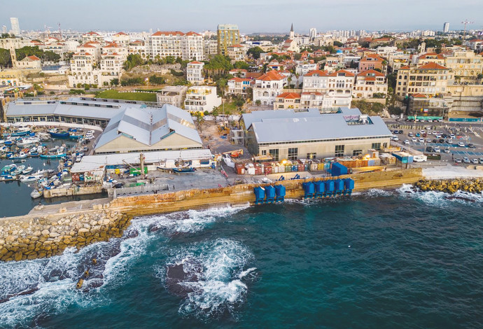 תחנת הכוח, חברת Eco Wave Power (צילום:  באדיבות החברה)