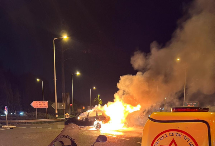 תאונת דרכים בכביש 75 (צילום:  מד"א)