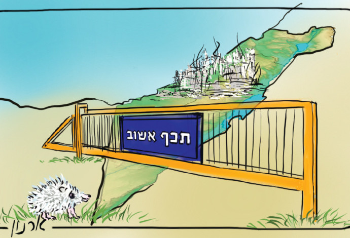 צפו בסדרות התאגיד: בקרוב כבר לא יהיה אפשר | מידן בר (צילום:  איור: ארנון קרמר)