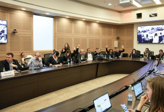 ועדת העבודה והרווחה (צילום:  דוברות הכנסת, דני שם טוב)