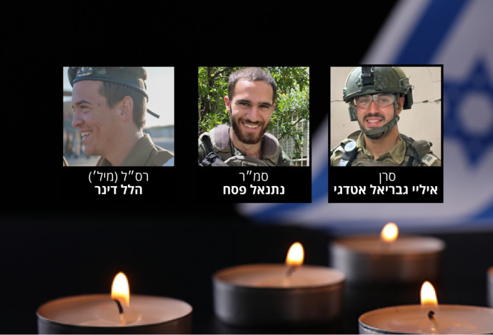 החללים מחטיבת כפיר (צילום:  דובר צה"ל)