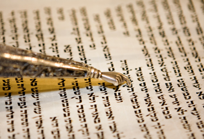 פרשת השבוע: בא (צילום: מרק ישראל סלם )