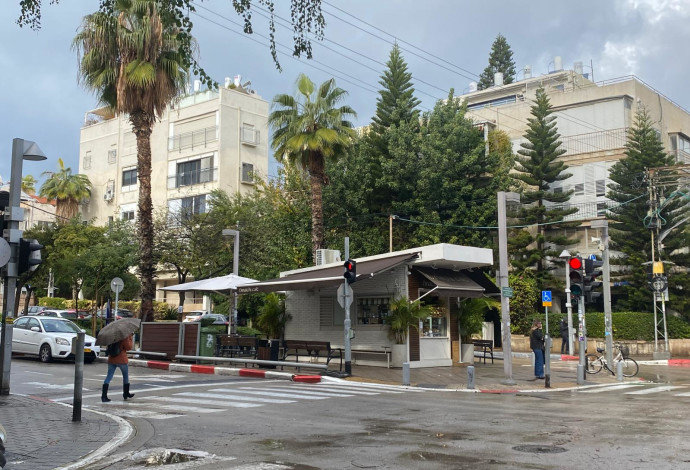 חורף בתל אביב (צילום:  אבשלום ששוני)
