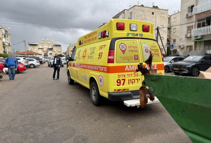 זירת האירוע בנתניה (צילום:  דוברות מד"א)