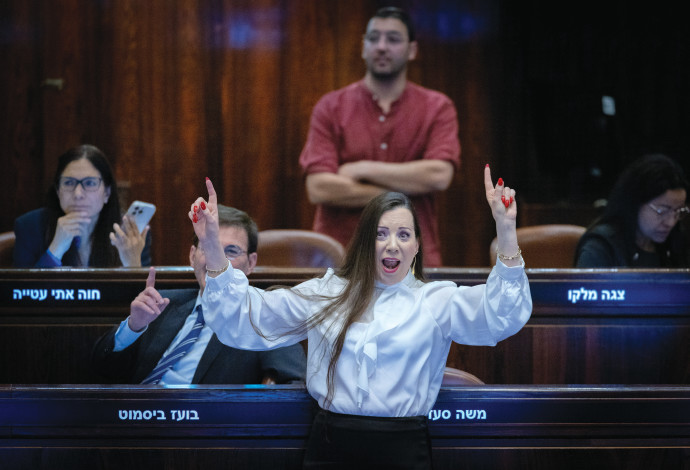 טלי גוטליב בכנסת (צילום:  חיים גולדברג, פלאש 90)