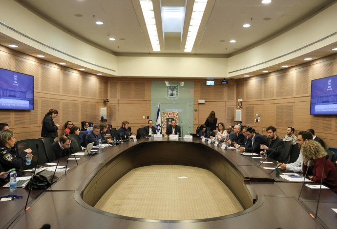 ועדת הכלכלה (צילום:  דני שם טוב, דוברות הכנסת)