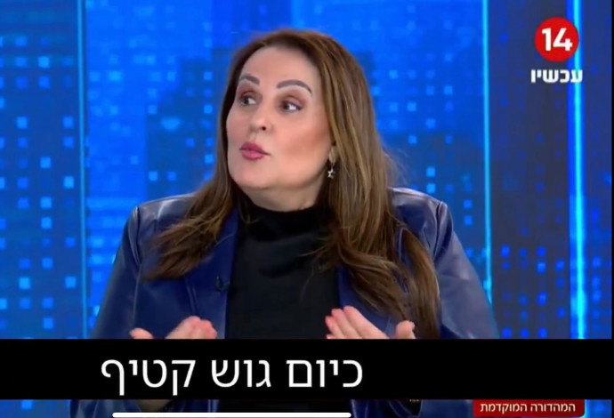 קטי שטרית (צילום:  שימוש לפי סעיף 27א')