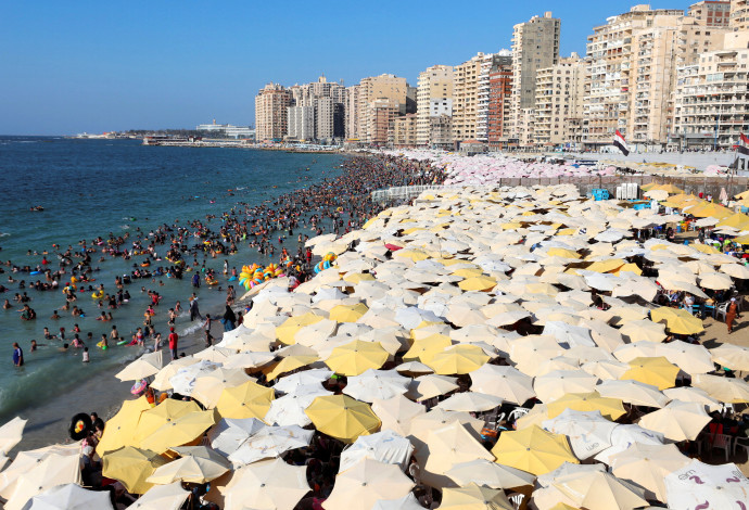 אלכסנדריה (צילום:   REUTERS/Mohamed Abd El Ghany)