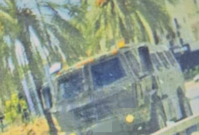 חשדות חמורים  (צילום:  דוברות המשטרה)