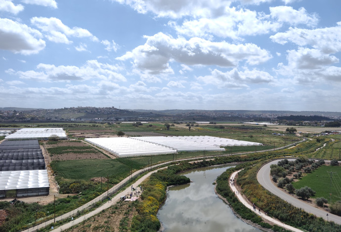 נחל תאנים המחודש  (צילום:  מועצה אזורית לב השרון)