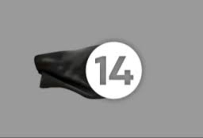 הדגל השחור המתנוסס בערוץ 14 (צילום:  צילום מסך, ערוץ 14)