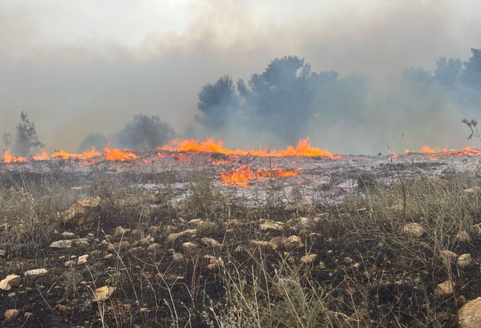 השריפות במחוז החוף, אזור חדרה (צילום:  כבאות והצלה מחוז חוף)