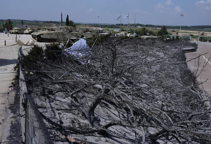 השריפות בהרי ירושלים, לטרון (צילום:  אבשלום ששוני)