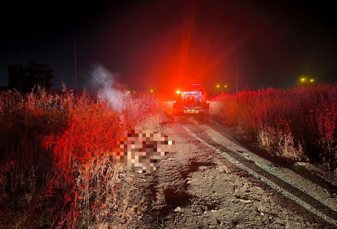 זירת האירוע בג'לג'וליה (צילום:  דוברות כבאות והצלה לישראל מחוז מרכז)