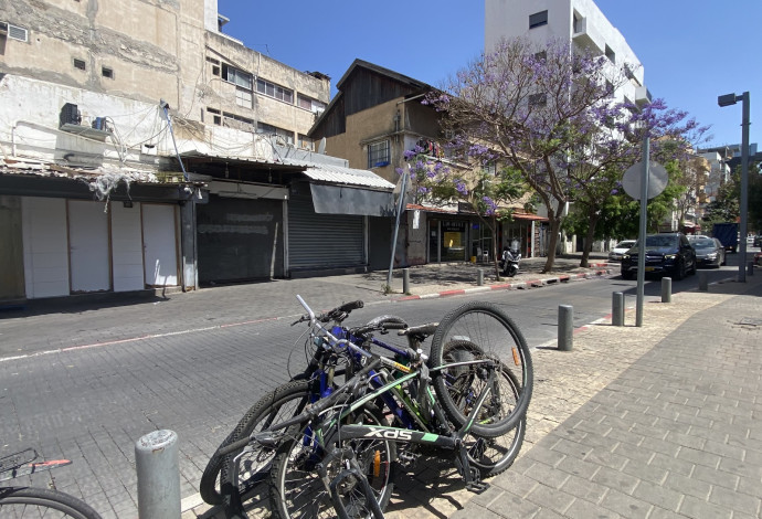 שכונת נווה שאנן (צילום:  אבשלום ששוני)