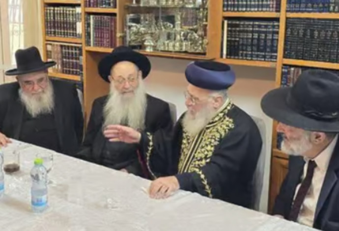 מועצת חכמי התורה של ש"ס  (צילום:  צילום מסך, שימוש לפי סעיף 27א' לחוק זכויות יוצרים)