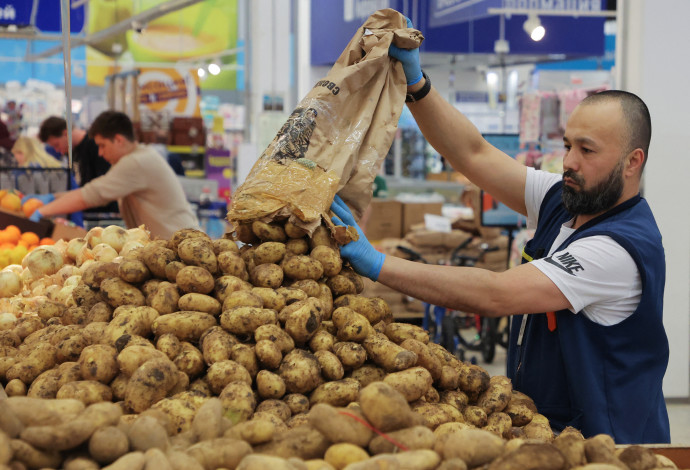 תפוחי אדמה ברוסיה (צילום:  REUTERS/Anton Vaganov)
