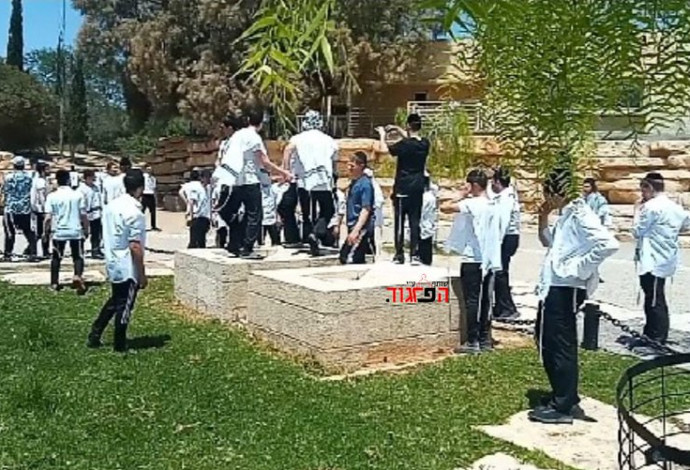 תמונה