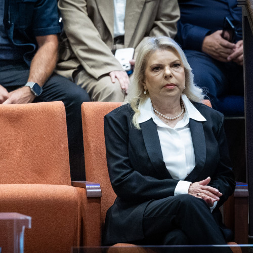 יולי אדלשטיין (צילום: רמי זרנגר)