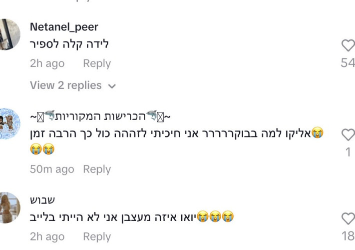 תגובות ללידה של אליקו, לירז ארז (צילום: צילום מסך מתוך טיקטוק)