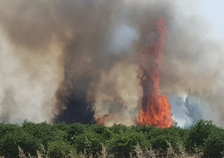 חבר בסיירת האש של קיבוץ בארי חמאס עזר לנו לגלות את הביחד מעריב