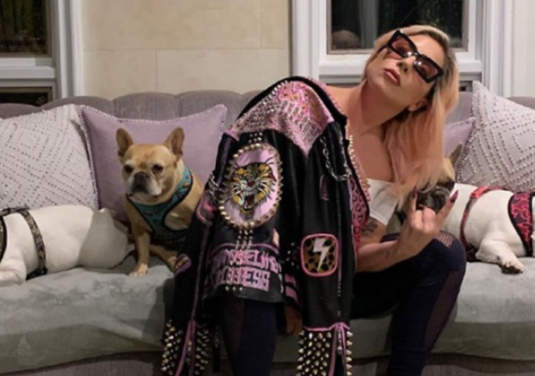 Lady Gaga’s dogs were found abducted at gunpoint