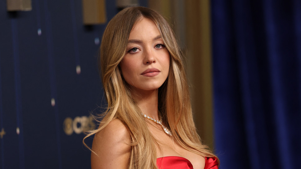 סידני סוויני (צילום: Photo by PATRICK T. FALLON/AFP via Getty Images)