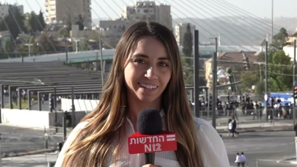 ענבר טויזר  (צילום: צילום מסך)